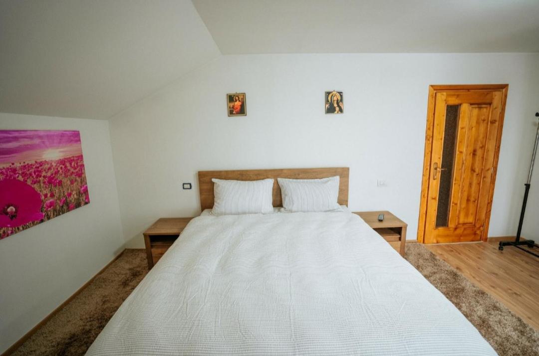 Hotel Casa Daviden Moisei Exteriér fotografie